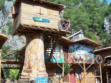 Olympos treehouses