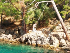 Rope swiming in Tarzan Bay